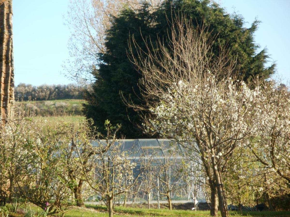Villa La Ferme Fleurie Echinghen Esterno foto